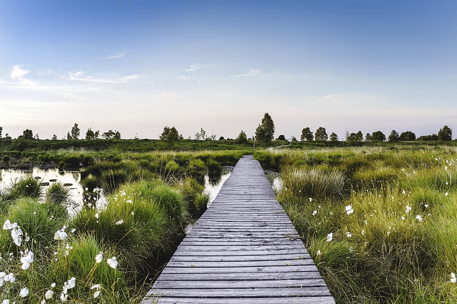 Découvrir la Belgique depuis le Luxembourg